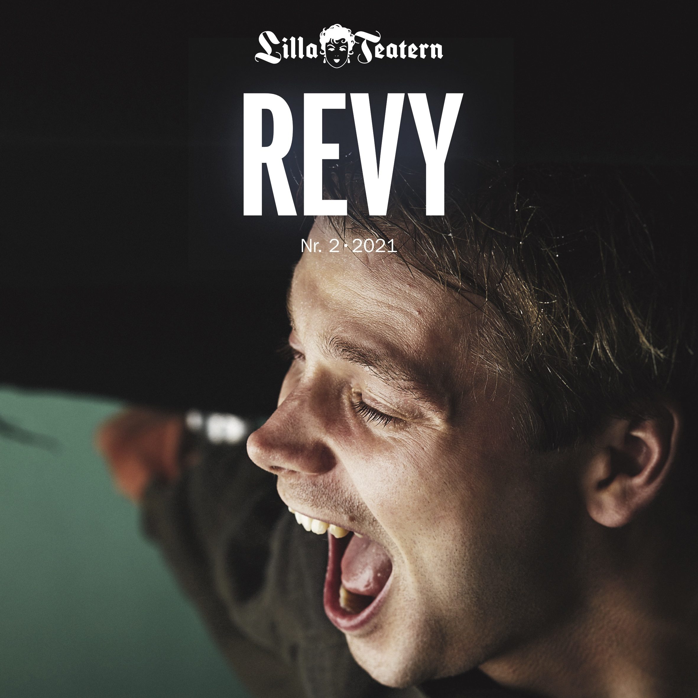 Revy pärm